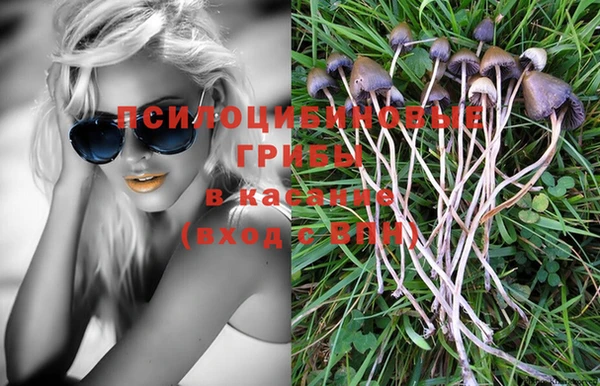 МДПВ Нягань